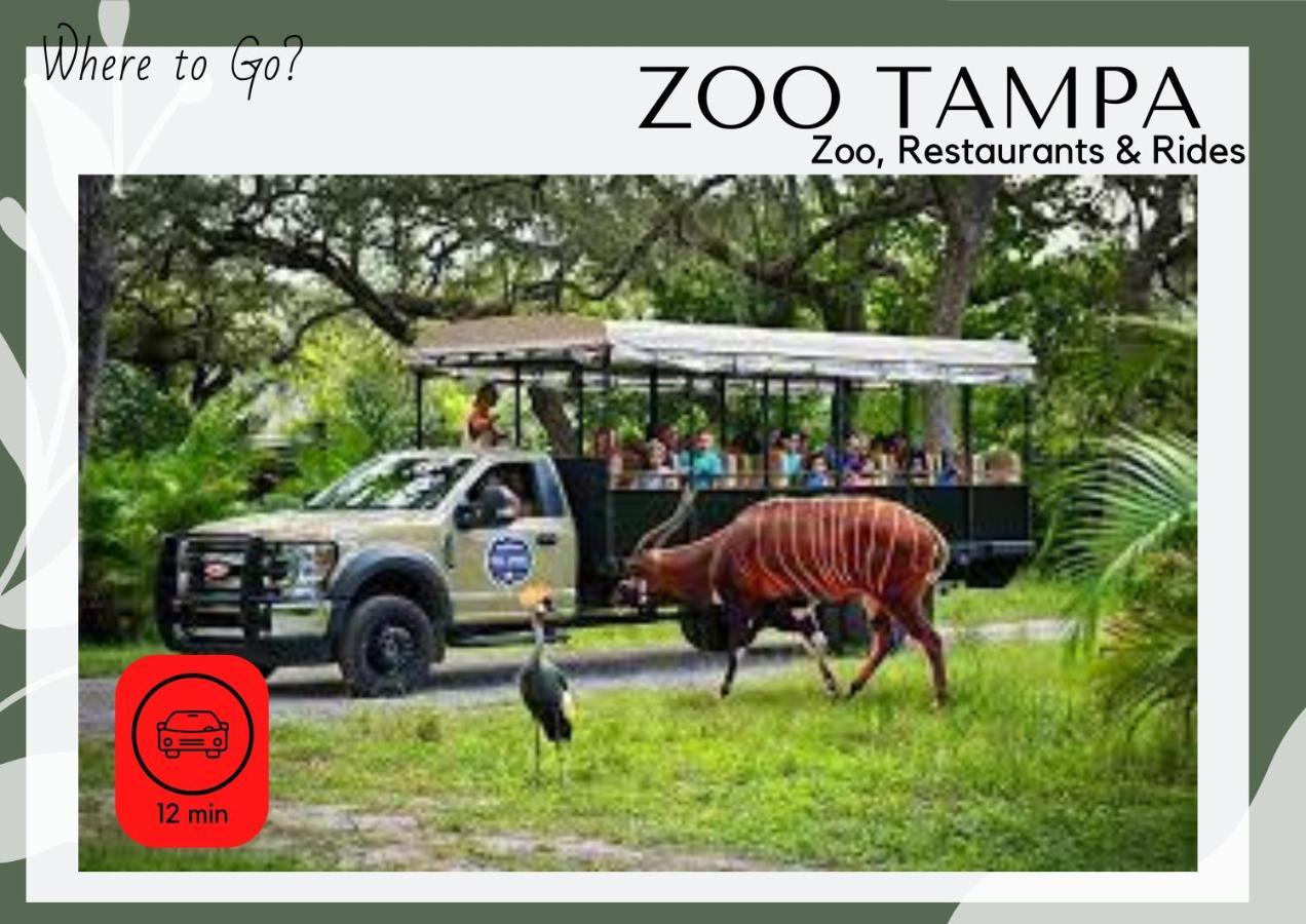 Cozy Home In Tampa Near Ybor & Busch Gardens 외부 사진
